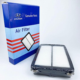 Lọc gió động cơ (28113-D3100)
