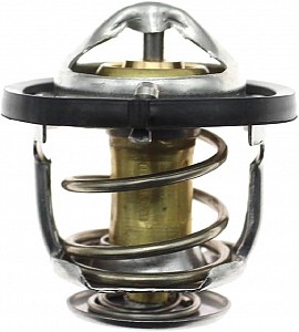 Van điều nhiệt (2550002500)