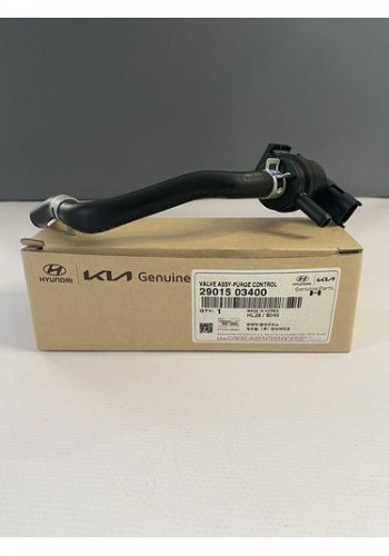 Van điều khiển tích hơi xăng (2901503400)