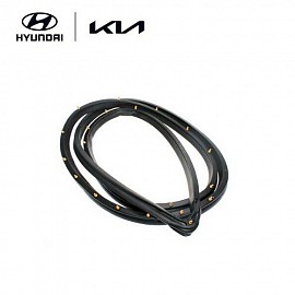 Gioăng cánh cửa trước phải (82140-F2000)