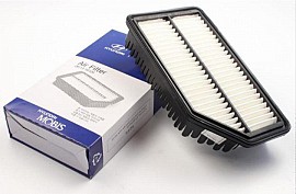 Lọc gió động cơ (281131R100)