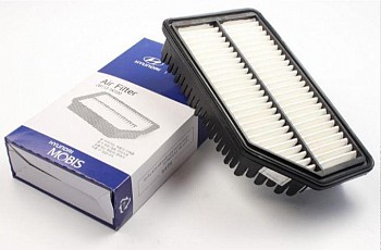 Lọc gió động cơ (281131R100)