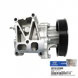 Bơm nước động cơ kèm puly và van hằng nhiệt (251102C000)